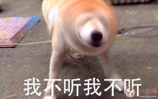 撒嬌和賣萌有什么區別 撒嬌和賣萌的區別 撒嬌和賣萌有什么區別 撒嬌和賣萌的區別