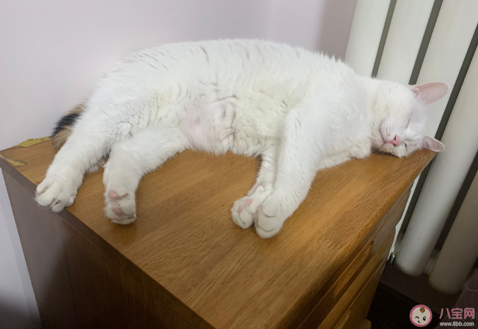 雙12要吃土了的心情句子 雙12吃土的說說朋友圈