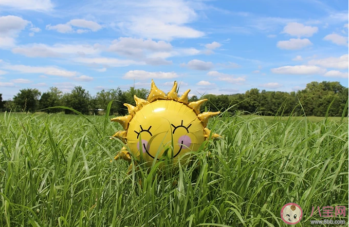 今天太陽很好的朋友圈說說配圖 今天太陽很好的朋友圈唯美文藝句子