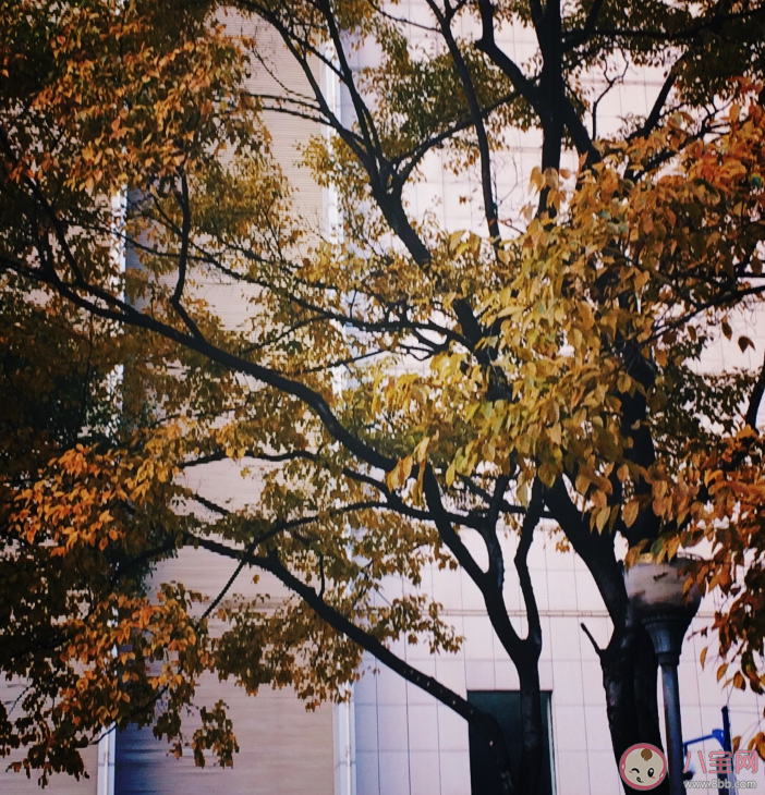 2019即將過去告別2019心情 2019即將過去的句子朋友圈