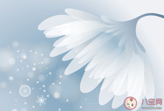 姐姐的腿不是腿塞納河絆的春水是什么歌 《姐姐》完整版歌詞在線試聽