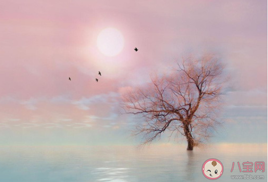 姐姐的腿不是腿塞納河絆的春水是什么歌 《姐姐》完整版歌詞在線試聽