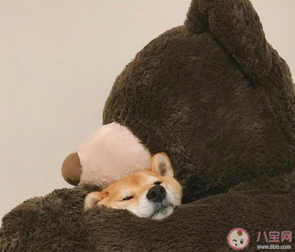 女生該怎么防范不良PUA 女生辯別不良PUA的方法是什么 女生該怎么防范不良PUA 女生辯別不良PUA的方法是什么