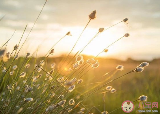 哪些人不能深交 成年人交朋友的標準是什么