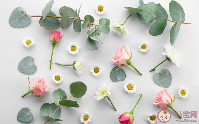 2020努力賺錢的勵志說說 2020努力賺錢的說說句子 2020努力賺錢的勵志說說 2020努力賺錢的說說句子