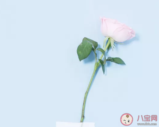 2019最后一天朋友圈文案說說 2019年最后一天給自己的話 2019最后一天朋友圈文案說說 2019年最后一天給自己的話