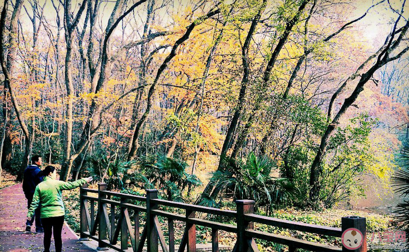 最值得去的一座城市推薦 冬天最值得去哪個(gè)城市玩 最值得去的一座城市推薦 冬天最值得去哪個(gè)城市玩