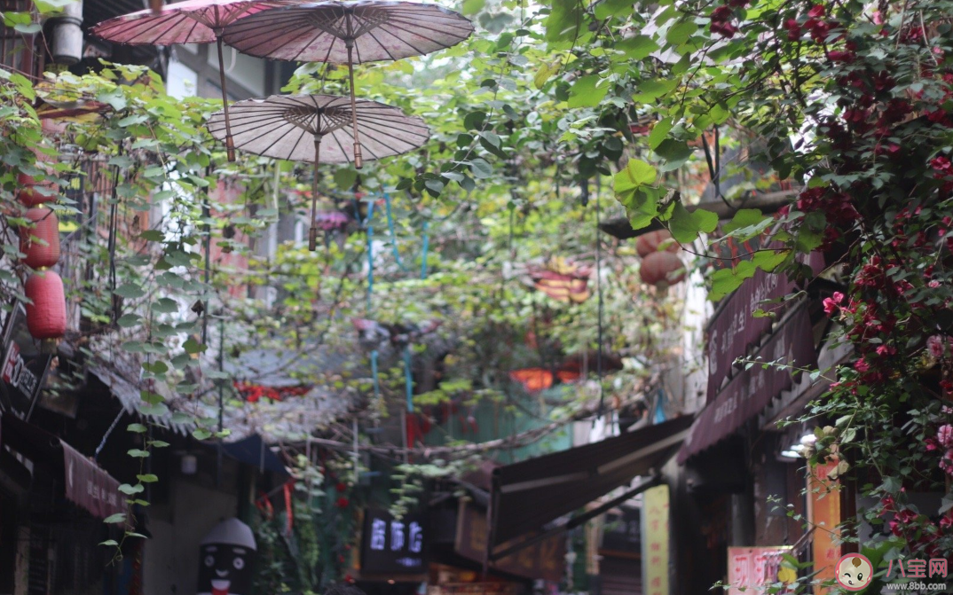 最值得去的一座城市推薦 冬天最值得去哪個(gè)城市玩 最值得去的一座城市推薦 冬天最值得去哪個(gè)城市玩