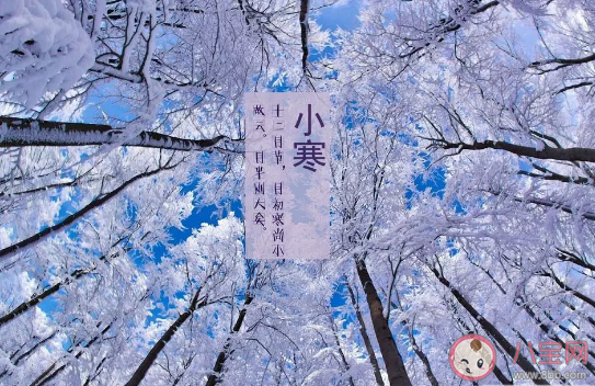 2020今日小寒朋友圈心情說說  小寒節氣朋友圈配圖文字句子