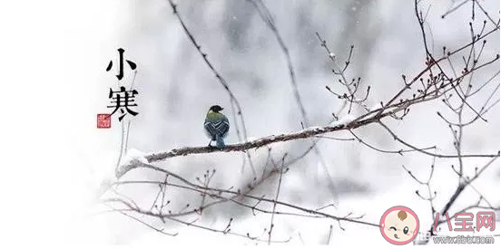 2020小寒節氣祝福語大全簡短 小寒到了給朋友的祝福語 2020小寒節氣祝福語大全簡短 小寒到了給朋友的祝福語