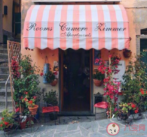 2020最期待的小事是什么 2020年值得期待的事情有哪些 2020最期待的小事是什么 2020年值得期待的事情有哪些