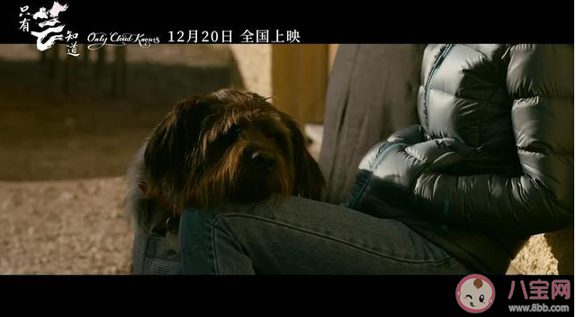 只有蕓知道哪些故事情節是真實的 只有蕓知道高能淚點