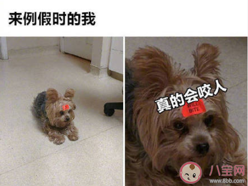 身體上感受過最深刻的疼痛是什么 讓你覺得最痛的瞬間是什么