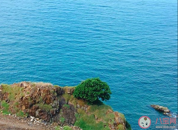 再見2019你好2020精美說說短句  2020你好勵志正正能量文案