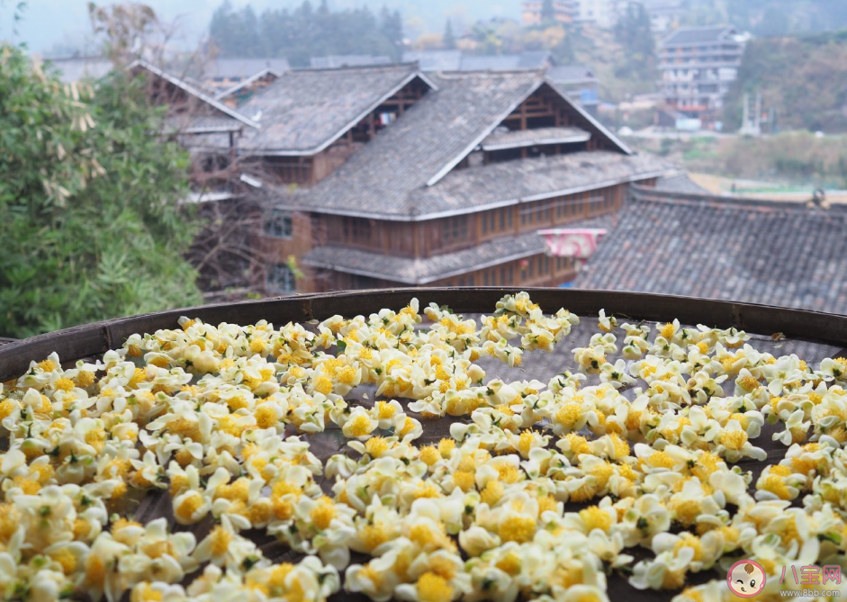 已經臘月了的句子心情 關于臘月發什么說說朋友圈