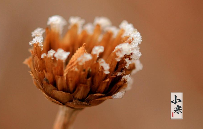 2020小寒節氣的順口溜諺語大全 與小寒節氣有關的諺語盤點