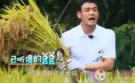 爍學是什么意思 爍學是什么梗