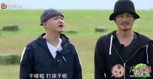 爍學是什么意思 爍學是什么梗