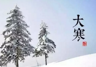 今日大寒唯美朋友圈說說 今日大寒心情感言句子