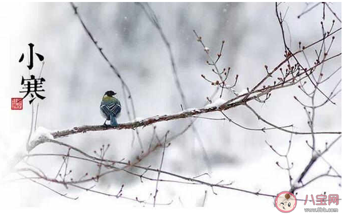 小寒節氣一句話祝福語說說大全 2020小寒節氣送祝福的說說句子