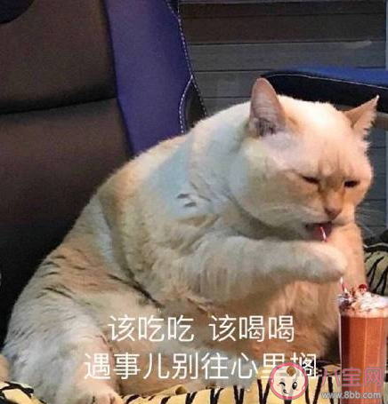 第一批20后來了90后的心情說說 第一批20后來了90后心情感言