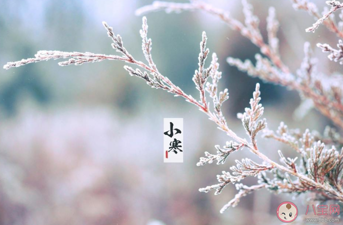 2020小寒節氣文案配圖說說句子 小寒到了朋友圈個性文案大全