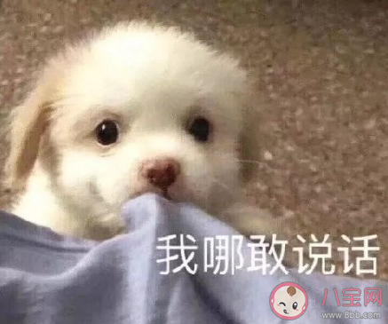 第一次約會時的心理變化有哪些 第一次約會時的心理過程