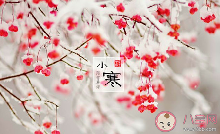 今天是小寒節(jié)氣的說說2020 今日小寒朋友圈文案祝福語大全