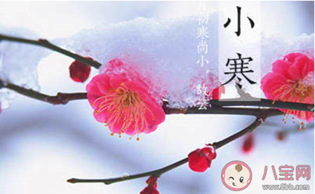 今天是小寒節(jié)氣的說說2020 今日小寒朋友圈文案祝福語大全