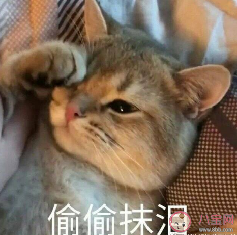 熬夜多工資又不高的工作是什么 什么工作熬夜多還錢少 熬夜多工資又不高的工作是什么 什么工作熬夜多還錢少