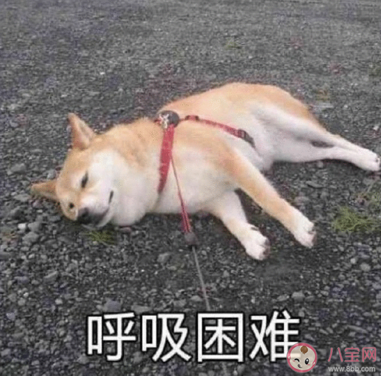 哪一刻覺得自己不再年輕 感覺自己不再年輕的體驗