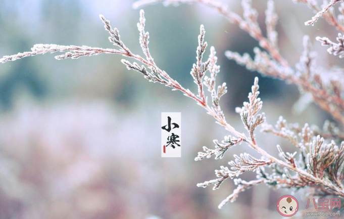 2020小寒到了早安說(shuō)說(shuō)文案 今日小寒早安心語(yǔ)發(fā)朋友圈