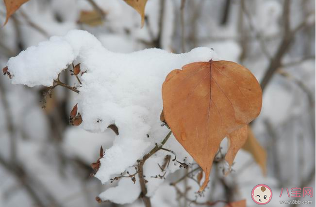 2020初雪的唯美心情句子 2020初雪到了的朋友圈說說大全