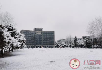 2020年的第一場雪朋友圈說說 2020第一場雪經典句子