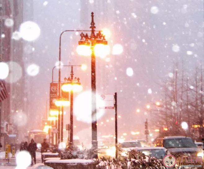 2020第一場雪文案說說 適合2020第一場雪發(fā)朋友圈文案句子