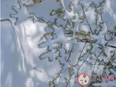 2020下雪天圖片心情短句 2020年下大雪了浪漫說說配圖