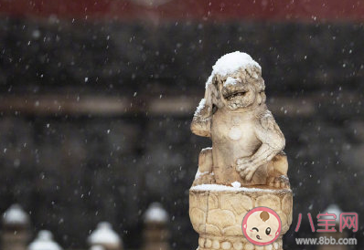 2020下雪天圖片心情短句 2020年下大雪了浪漫說說配圖