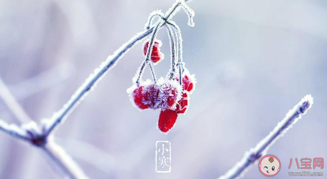 小寒是一年中最冷的時(shí)節(jié)嗎 小寒和大寒哪個(gè)更冷