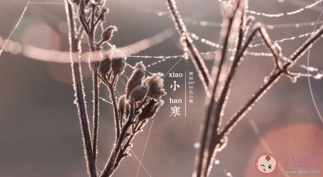 小寒是一年中最冷的時(shí)節(jié)嗎 小寒和大寒哪個(gè)更冷