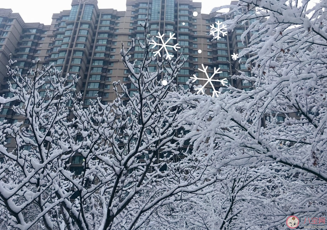 冬天和孩子們玩雪的說說心情 關(guān)于和孩子玩雪的說說朋友圈 冬天和孩子們玩雪的說說心情 關(guān)于和孩子玩雪的說說朋友圈