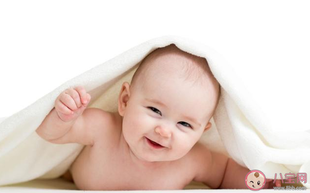 2020鼠年幾月生男孩概率大 2020鼠年生男孩命運(yùn)好嗎