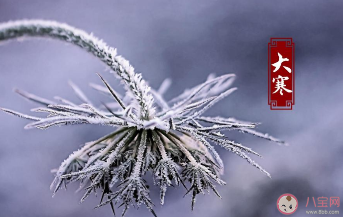 2020大寒節氣順口溜諺語大全 大寒節氣有哪些順口溜農諺