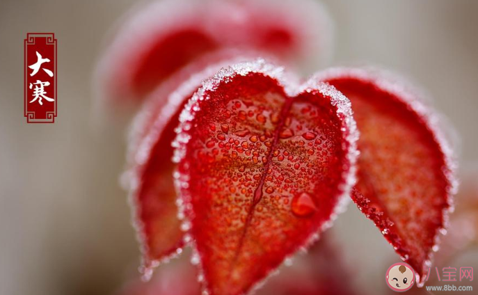 2020大寒創(chuàng)意文案說(shuō)說(shuō)合集 大寒節(jié)氣朋友圈文案精選