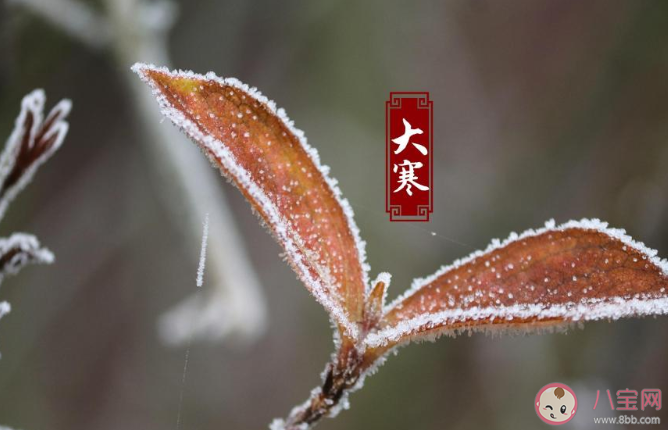 2020大寒創(chuàng)意文案說(shuō)說(shuō)合集 大寒節(jié)氣朋友圈文案精選