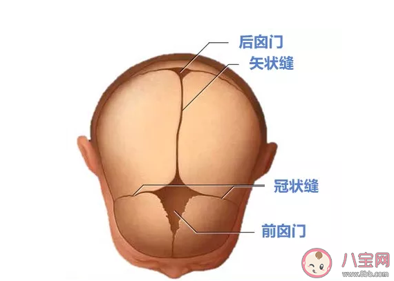 孩子為什么會(huì)出現(xiàn)囟門 孩子的囟門需不需要用帽子蓋住
