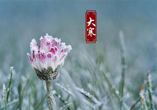 2020大寒創(chuàng)意文案說說合集 大寒節(jié)氣朋友圈文案精選