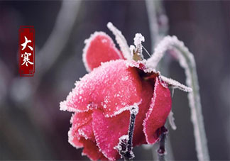 2020大寒節(jié)氣順口溜諺語大全 大寒節(jié)氣有哪些順口溜農(nóng)諺