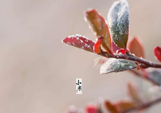 小寒是一年中最冷的時(shí)節(jié)嗎 小寒和大寒哪個(gè)更冷