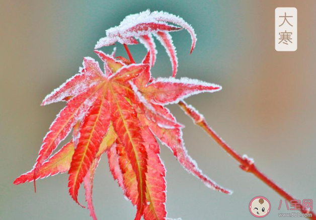 2020大寒節(jié)氣搞笑文案說說 大寒節(jié)氣幽默搞笑的句子