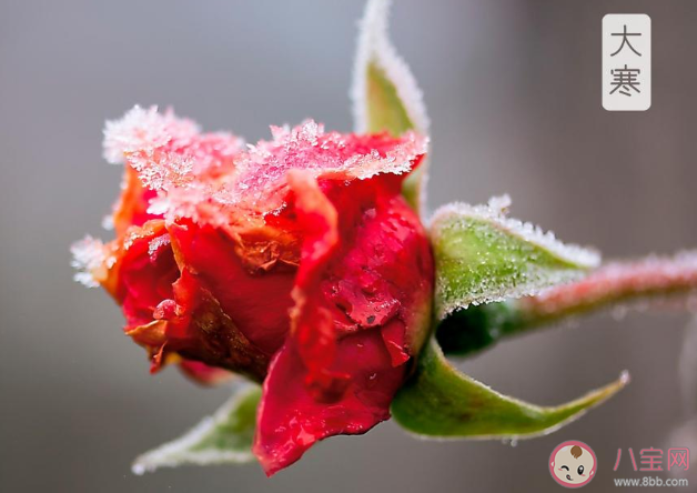 2020大寒節(jié)氣搞笑文案說說 大寒節(jié)氣幽默搞笑的句子